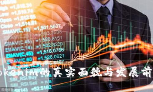 国内Tokenim的真实面貌与发展前景分析