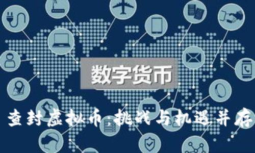 查封虚拟币：挑战与机遇并存