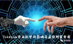 Tokenim停止运营的影响与后续对策分析