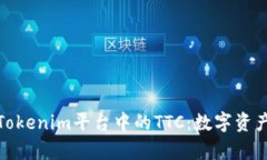 深入解析Tokenim平台中的TTC：数字资产的新机遇
