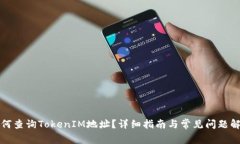 如何查询TokenIM地址？详细指南与常见问题解答
