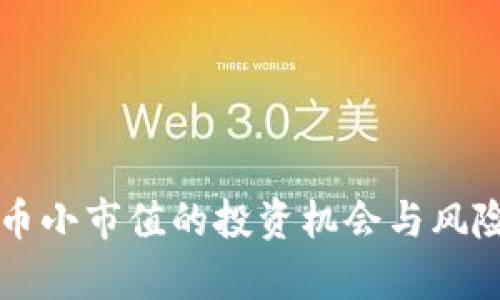 虚拟币小市值的投资机会与风险解析