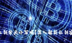 : tokenim私钥分大小写吗？深入解析私钥安全性与