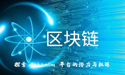 探索 Tokenim 平台的潜力与机遇