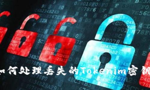 如何处理丢失的Tokenim密钥？