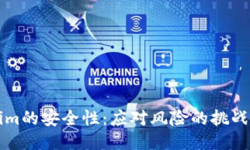 Tokenim的安全性：应对风险的挑战与对策