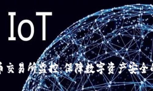 虚拟币交易所监控：保障数字资产安全的关键