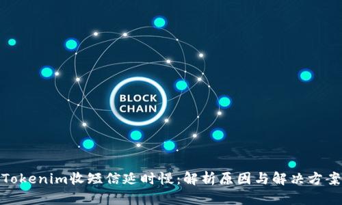 Tokenim收短信延时慢：解析原因与解决方案