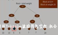深入解析Tokenim波场钱包空投：机会与挑战