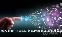  深入剖析：Tokenim的风控机制及其应对策略