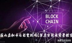 国内虚拟币还能变现吗？深度分析与前景探索