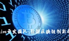 Tokenim开发团队：引领区块链创新的先锋