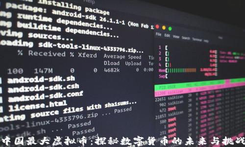 
中国最大虚拟币：探秘数字货币的未来与挑战