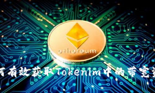 如何有效获取Tokenim中的带宽资源