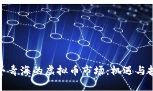 探寻青海的虚拟币市场：机遇与挑战