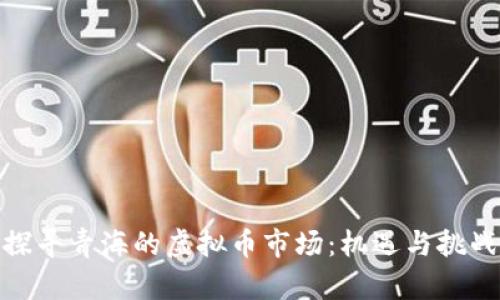 探寻青海的虚拟币市场：机遇与挑战