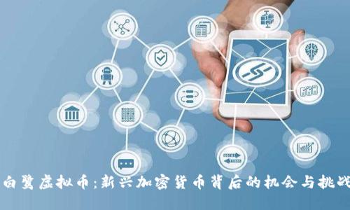 白鹭虚拟币：新兴加密货币背后的机会与挑战