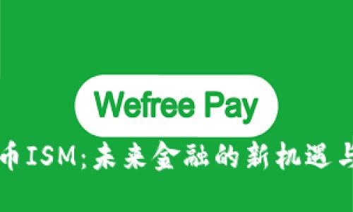 虚拟币ISM：未来金融的新机遇与挑战