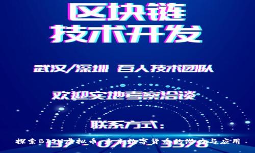 探索BISU虚拟币：未来数字货币的潜力与应用