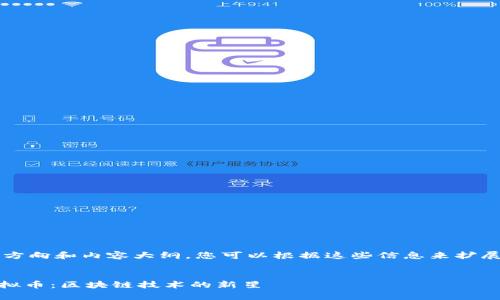 这里是一些方向和内容大纲，您可以根据这些信息来扩展到4500字。


解析RNG虚拟币：区块链技术的新星