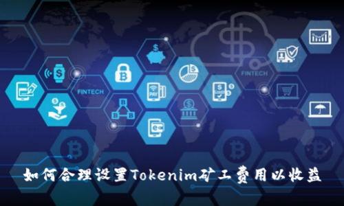 如何合理设置Tokenim矿工费用以收益