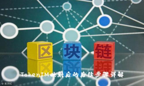 TokenIM映射后的后续步骤详解