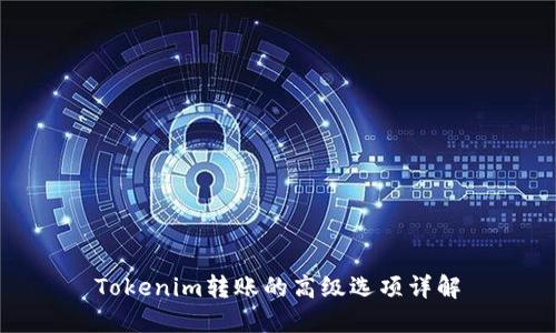 Tokenim转账的高级选项详解