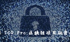TokenIM ICO Pro：区块链项目融资的新前沿