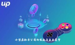 小型虚拟币公司的崛起与未来展望