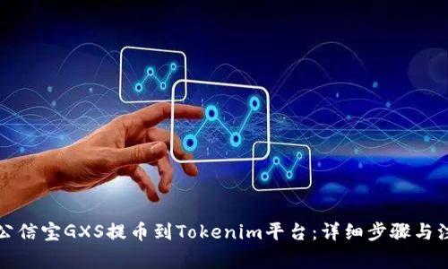 如何将公信宝GXS提币到Tokenim平台：详细步骤与注意事项