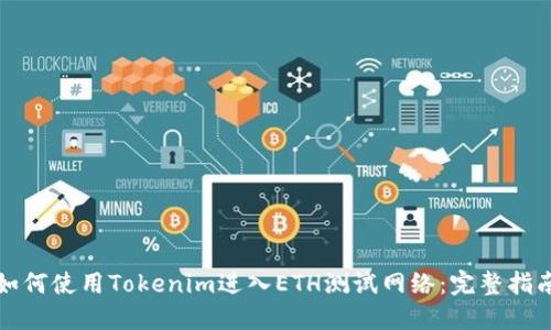 如何使用Tokenim进入ETH测试网络：完整指南