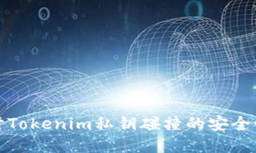 深入探讨Tokenim私钥碰撞的安全性与影响