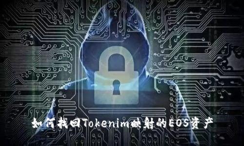 如何找回Tokenim映射的EOS资产