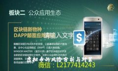 虚拟币的风险分析与对策