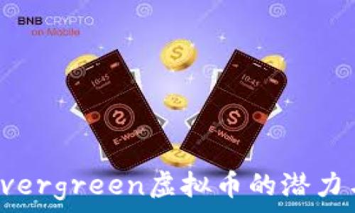   
探索Evergreen虚拟币的潜力与发展