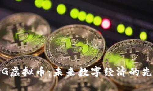 VRG虚拟币：未来数字经济的先锋
