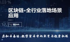 虚拟币泰迪：数字货币中的新星与投资机遇