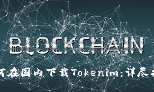 如何在国内下载Tokenim：详尽指南