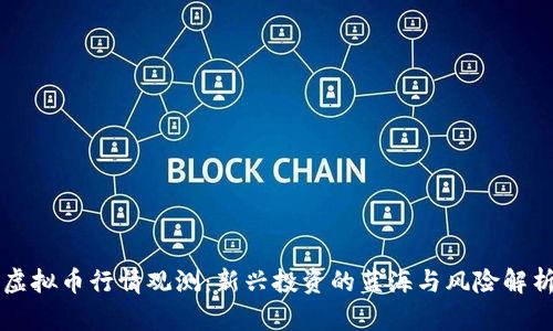 虚拟币行情观测：新兴投资的蓝海与风险解析