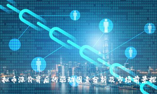 虚拟币涨价背后的驱动因素分析及市场前景探讨