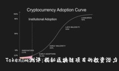  Tokenim测评：揭秘区块链项目的投资潜力