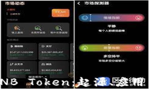 
全面解析BNB Token：起源、应用与未来发展