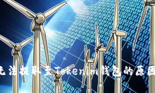 BTT无法提取至Tokenim钱包的原因分析