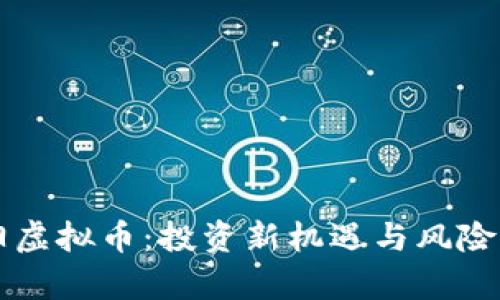 邵阳虚拟币：投资新机遇与风险分析