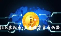 深入探讨KM虚拟币：未来数字货币的潜力与挑战