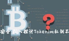 保护数字资产安全：深入探讨Tokenim私钥不导出的