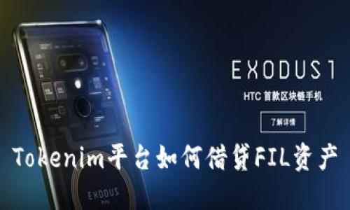 Tokenim平台如何借贷FIL资产