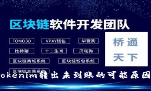 深入解析：Tokenim转出未到账的可能原因与解决方案