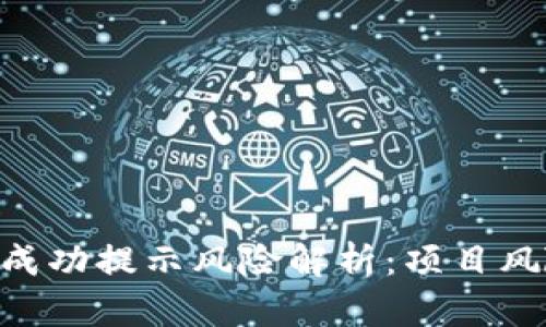 Tokenim收款成功提示风险解析：项目风险与解决方案