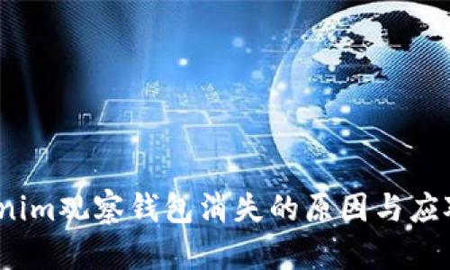  Tokenim观察钱包消失的原因与应对策略